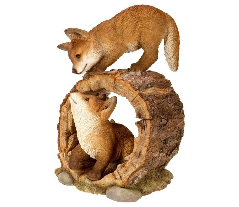Vivid Arts Playful Fox Cubs B