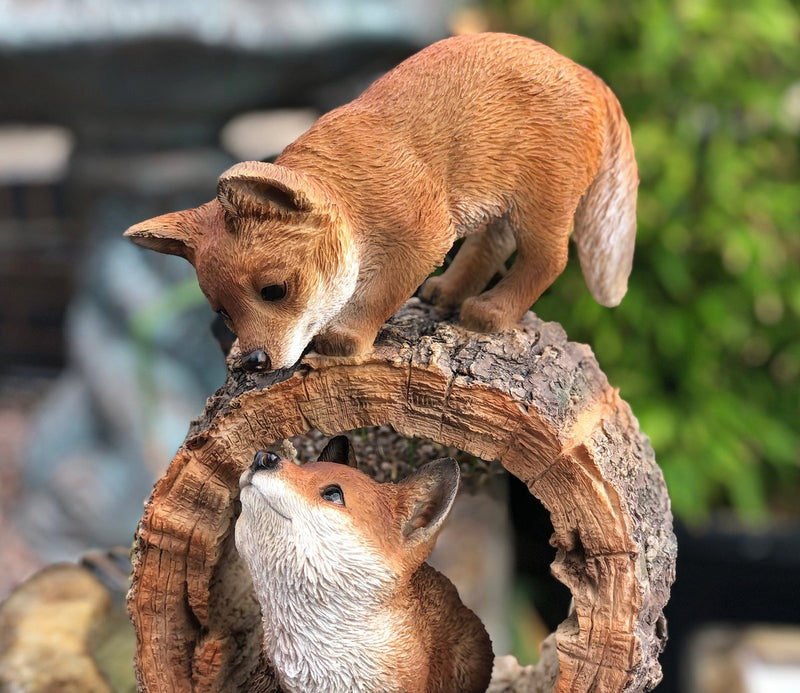 Vivid Arts Playful Fox Cubs B