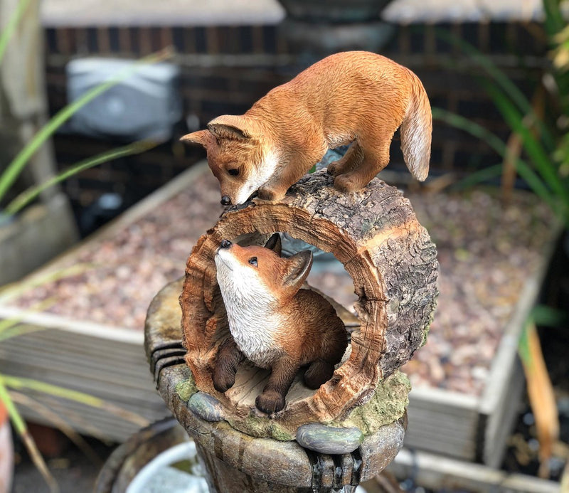 Vivid Arts Playful Fox Cubs B
